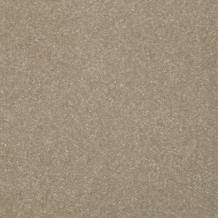 STAINMASTER Essentials Intuition III 12-ft Wheat Bread Textured Carpet Sample (Interior)