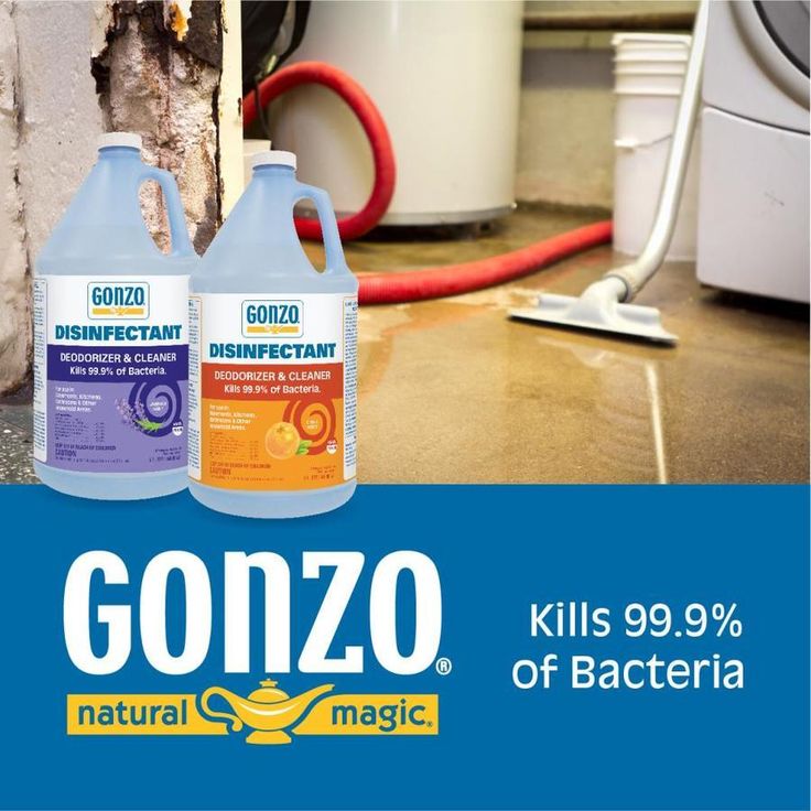 Gonzo Natural Magic 128-fl oz Lavender Disinfectant All-Purpose Cleaner
