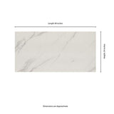 Voyager Blanco 24 in. x 48 in. Matte Porcelain Marble Look Floor and Wall Tile (15.32 sq. ft./Case)