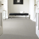 STAINMASTER PetProtect Baxter I Gizmo Textured Carpet (Indoor)