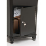 Elephantrunk Black Locking Extra-Large Mailbox Parcel Drop - Super Arbor