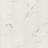 Carrara White 12 in. x 24 in. Matte Porcelain Stone Look Floor and Wall Tile (16 sq. ft./Case)