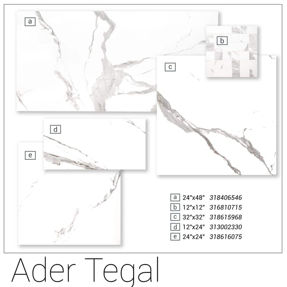 MSI Ader Tegal 24 in. x 48 in. Polished Porcelain Floor and Wall Tile (16 sq. ft./Case)