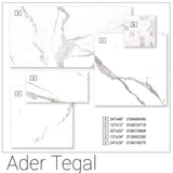MSI Ader Tegal 24 in. x 48 in. Polished Porcelain Floor and Wall Tile (16 sq. ft./Case)