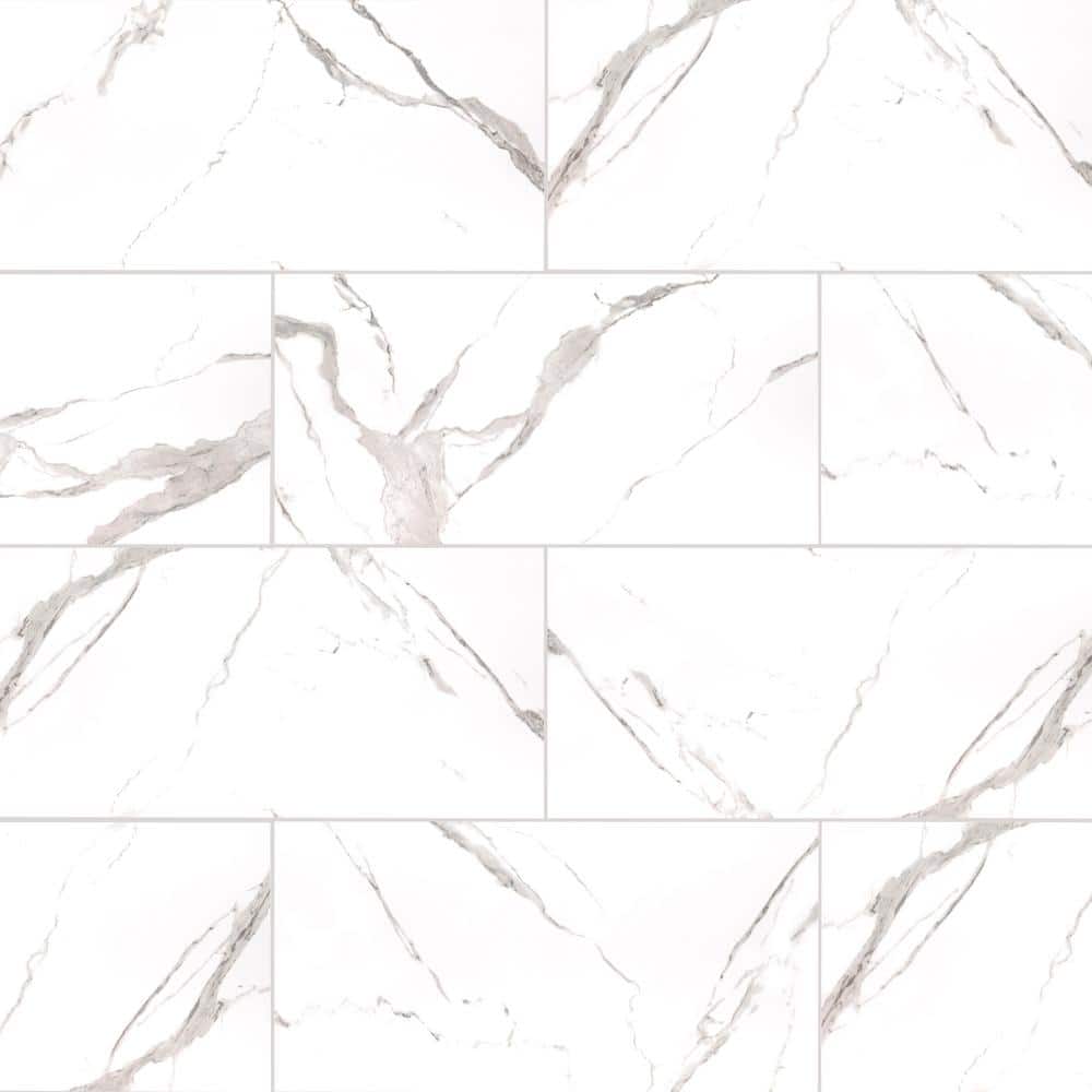 MSI Ader Tegal 24 in. x 48 in. Polished Porcelain Floor and Wall Tile (16 sq. ft./Case)