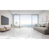MSI Ader Tegal 24 in. x 48 in. Polished Porcelain Floor and Wall Tile (16 sq. ft./Case)