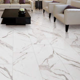 MSI Ader Tegal 24 in. x 48 in. Polished Porcelain Floor and Wall Tile (16 sq. ft./Case)