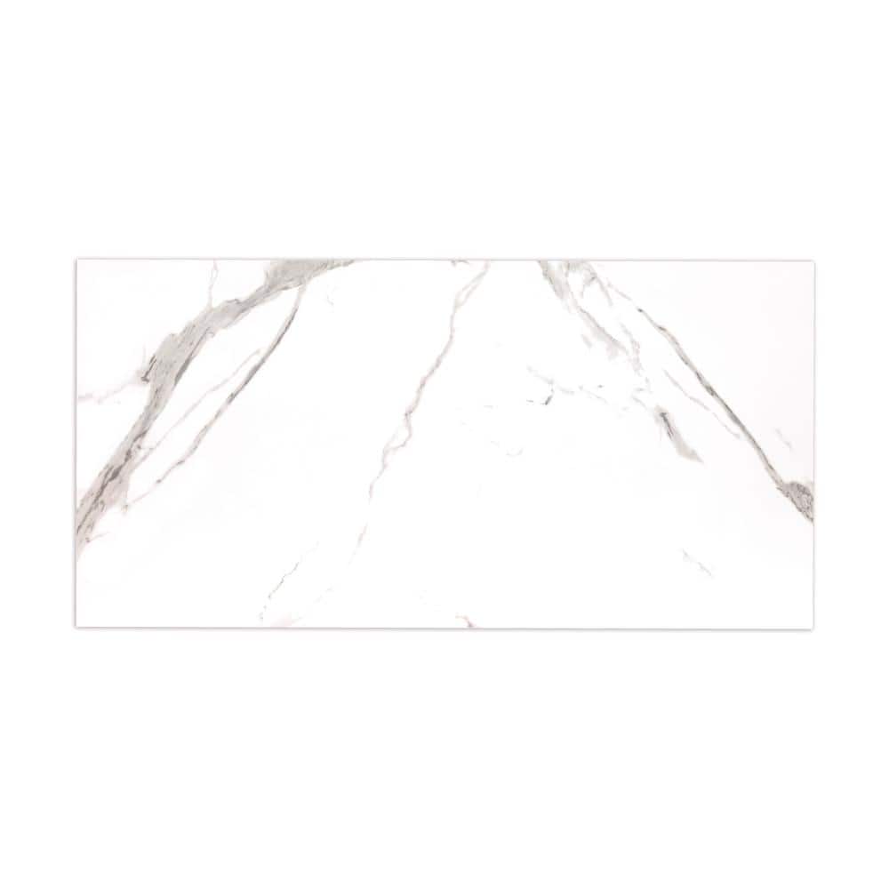 MSI Ader Tegal 24 in. x 48 in. Polished Porcelain Floor and Wall Tile (16 sq. ft./Case)