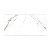 MSI Ader Tegal 24 in. x 48 in. Polished Porcelain Floor and Wall Tile (16 sq. ft./Case)