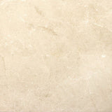 Emser MARBLE Crema Marfil Plus 24-in x 24-in Polished Natural Stone Marble Stone Look Tile