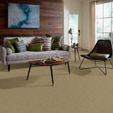 STAINMASTER PetProtect Baxter I Molly Textured Carpet (Indoor)