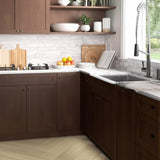 Hampton Bay Designer Series Soleste Assembled Sink Base Kitchen Cabinet in Spice