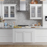 Hampton Bay Courtland 36-inch Polar White Shaker Sink Base Cabinet