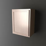 Hampton Bay 21 in. W x 12 in. D x 30 in. H Assembled Wall Kitchen Cabinet in Unfinished with Recessed Panel