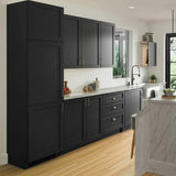 Hampton Bay Avondale 24 in. W x 12 in. D x 42 in. H Ready-to-Assemble Plywood Shaker Wall Kitchen Cabinet in Raven Black