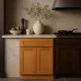 Home Decorators Collection Newport Cinnamon Shaker Kitchen Cabinet