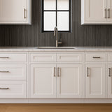 HOMLUX Ready to Assemble Sink Base Cabinet, Shaker White, 36 in. W x 24 in. D x 34.5 in. H