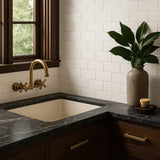 Vector Hueso White 4x8 Polished Ceramic Subway Tile