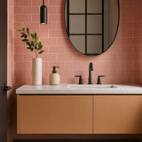Park Hill Pink 3x6 Polished Porcelain Subway Tile for Walls
