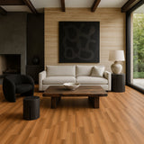 CALI Laguna Shore Thing 20-mil Waterproof Vinyl Plank Flooring - 18.15 sq ft Carton