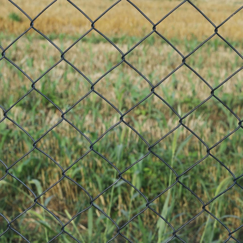 ALEKO Galvanized Steel Chain Link Fence - Complete Kit - 4x50 ft. - 9.5 AW Gauge - Black