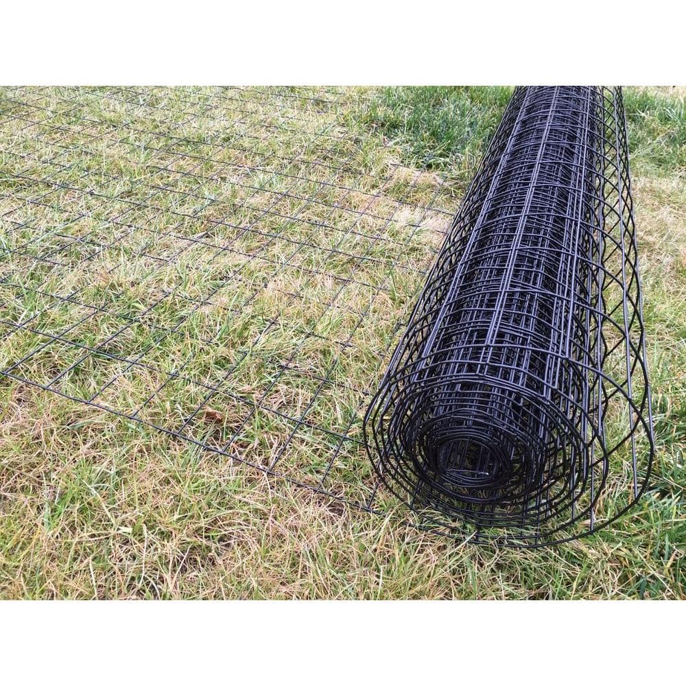 allFENZ 3.25 ft. x 50 ft. Black PVC Coated Welded Wire