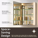Altair Serra 24 in. W. x 32 in. H Rectangular Aluminum Medicine Cabinet with Mirror