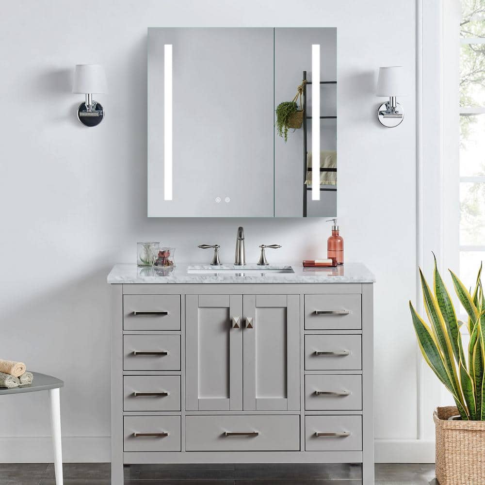 WELLFOR 30 in. W x 30 in. H Rectangular Aluminum Recessed or Surface Mount Medicine Cabinet with Mirror and Lighted,Double Doors
