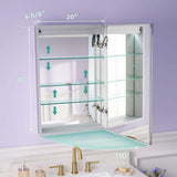 WELLFOR 20 in. W x 30 in. H Rectangular Aluminum Recessed or Surface Mount Medicine Cabinet with Mirror,LED Lights,Defog,3 Shelf