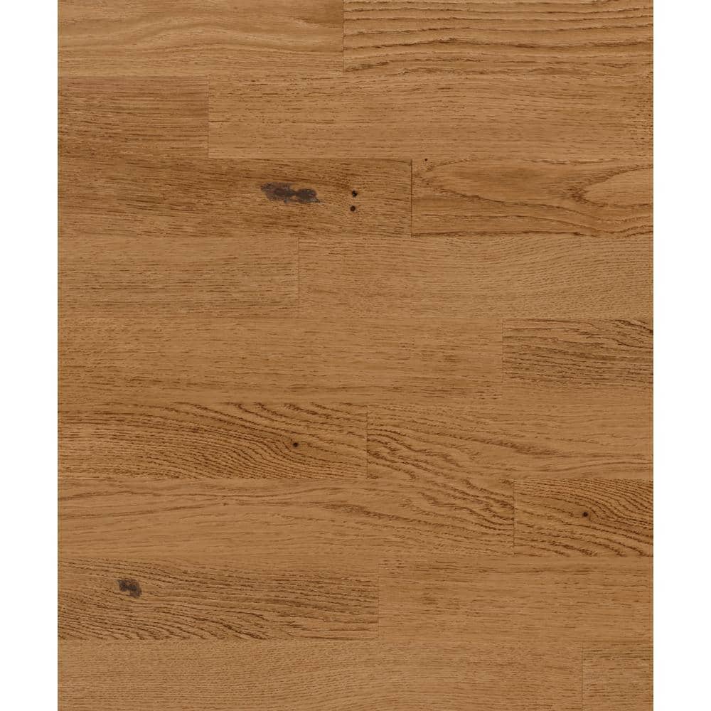Baltic Wood Amber European Oak 1/2 in. T x 7.2 in. W Click Lock Wire Brushed Engineered Hardwood Flooring (38.6 sq.ft./case)