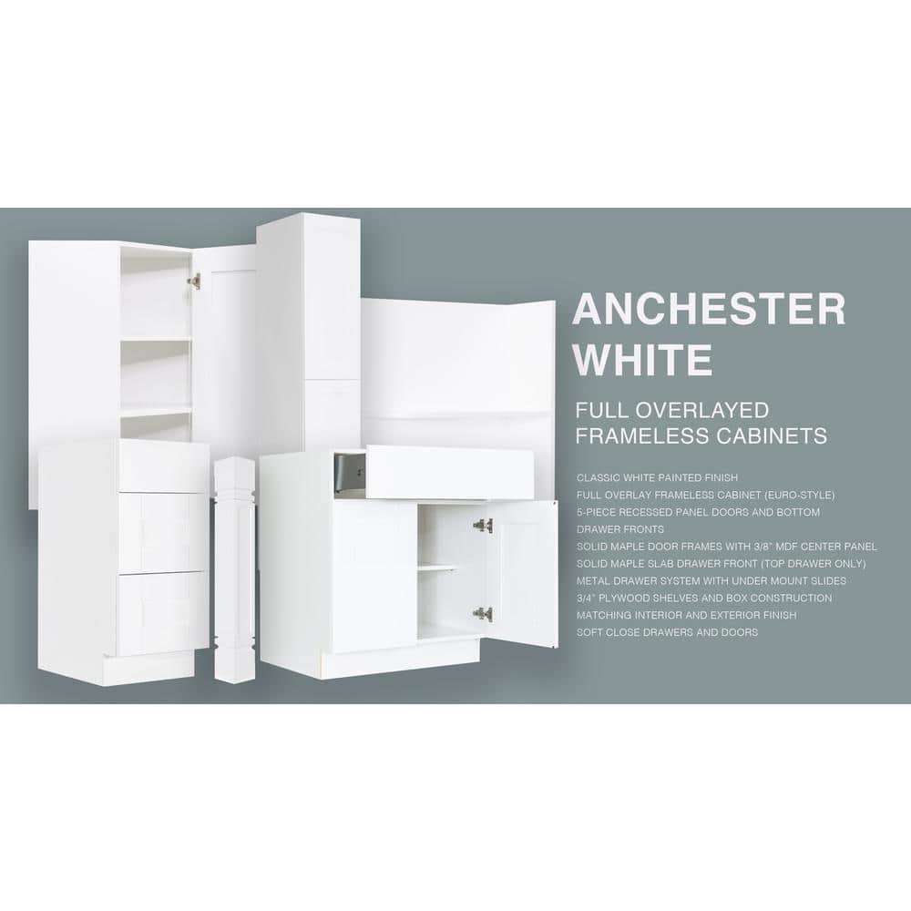LIFEART CABINETRY Anchester White Plywood Shaker Stock Assembled Wall Corner Kitchen Cabinet (24 in. W x 30 in. H x 12 in. D)