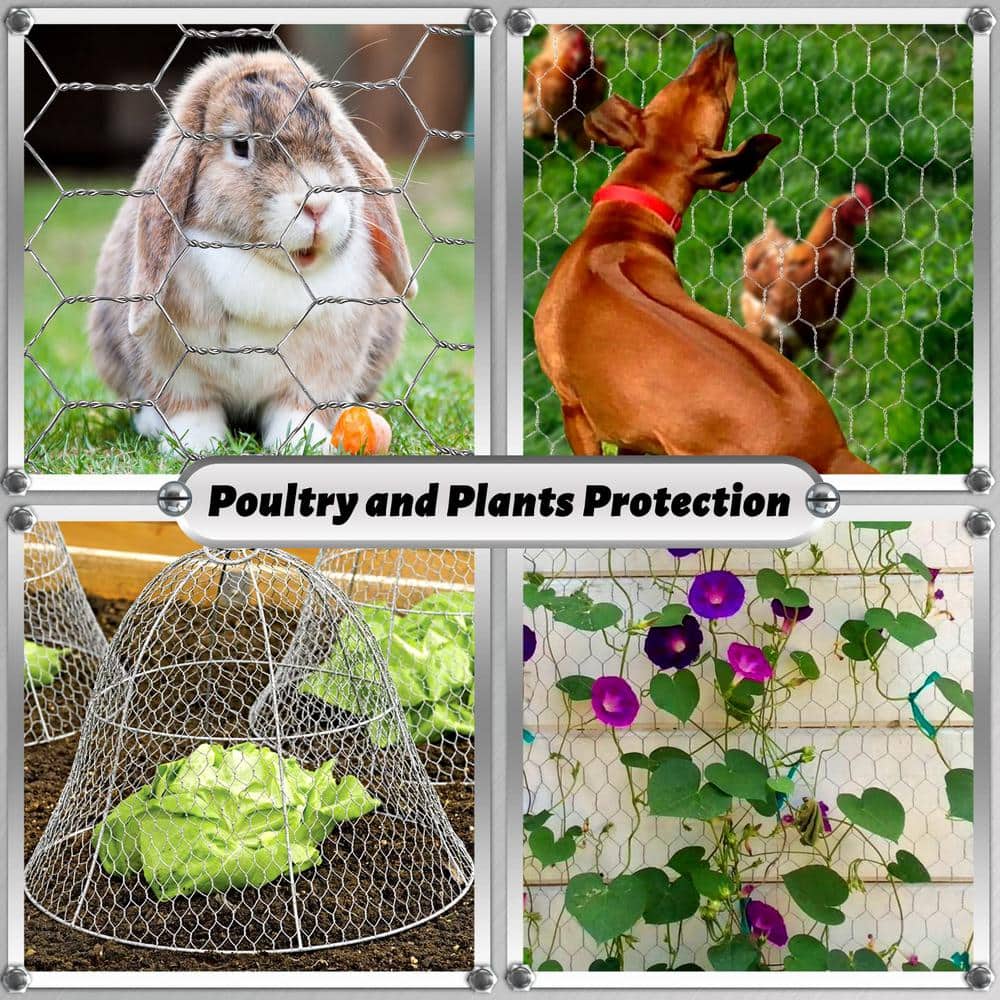 Angel Sar 15.3 in. x 14.7 ft. Chicken Wire Fencing Mesh, 0.6 in. Hexagonal Galvanized Hardware Cloth for Coop Barrier Rabbit Cage