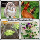 Angel Sar 15.3 in. x 14.7 ft. Chicken Wire Fencing Mesh, 0.6 in. Hexagonal Galvanized Hardware Cloth for Coop Barrier Rabbit Cage