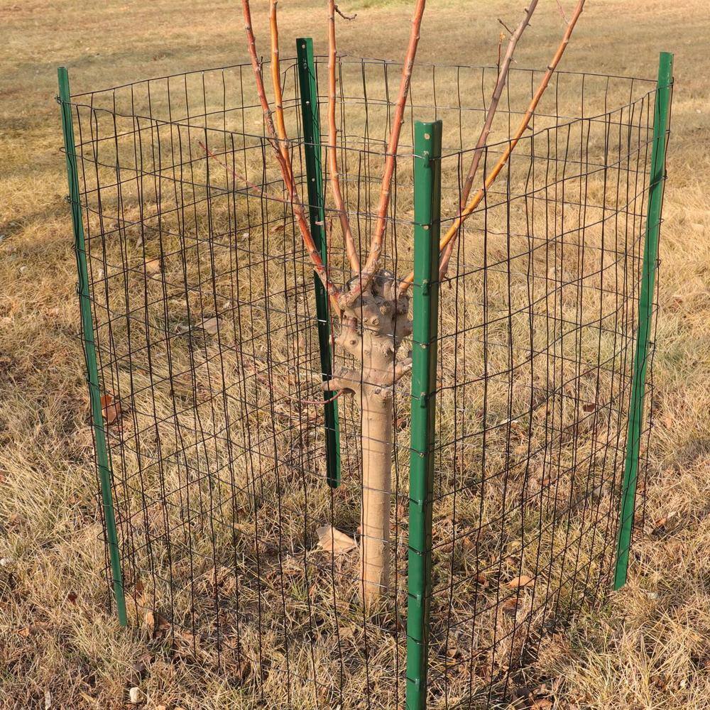 Angel Sar 24 in. x 50 ft. 16-Gauge Black PVC Poultry Netting, Coated Welded Wire Fence for Yard Vegetable Plant Protection