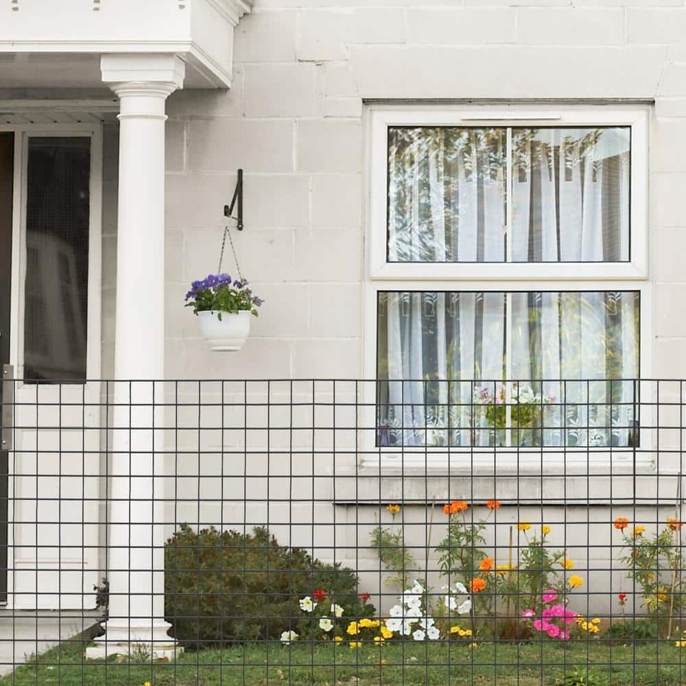 ANGELES HOME 3 ft. x 50 ft. 16-Gauge Black Vinyl Coated Welded Wire Mesh 1.5 in.