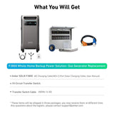 Anker 6000W/9000W Peak Push-Button Start Battery Generator SOLIX F3800 Gas Generator Replacement Solution w/a Transfer Switch