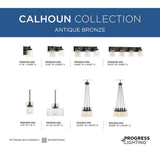 Progress Lighting Calhoun Collection 3-Light Antique Bronze Chandelier with Shade