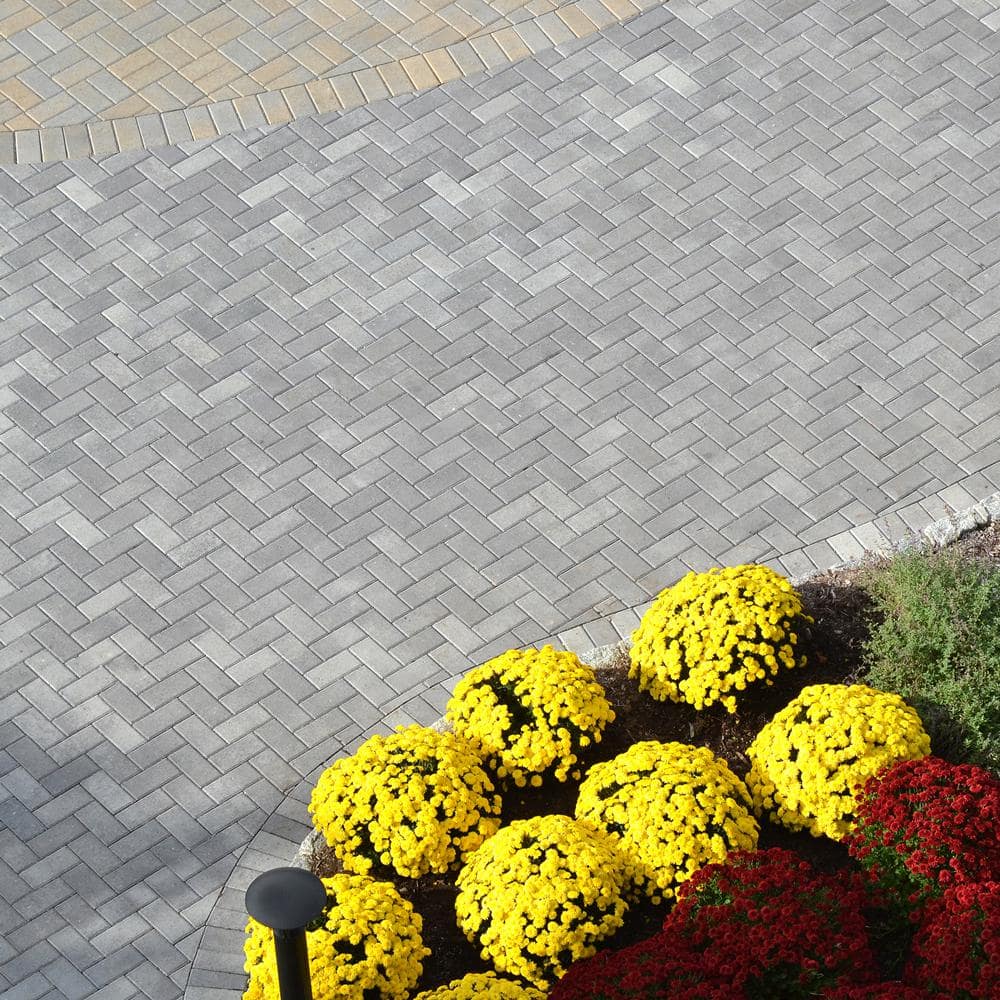 Pavestone Holland 7.87 in. L x 3.94 in. W x 2.36 in. H 60 mm Antique Grey Concrete Paver(480 pcs/103 sq. ft./Pallet)