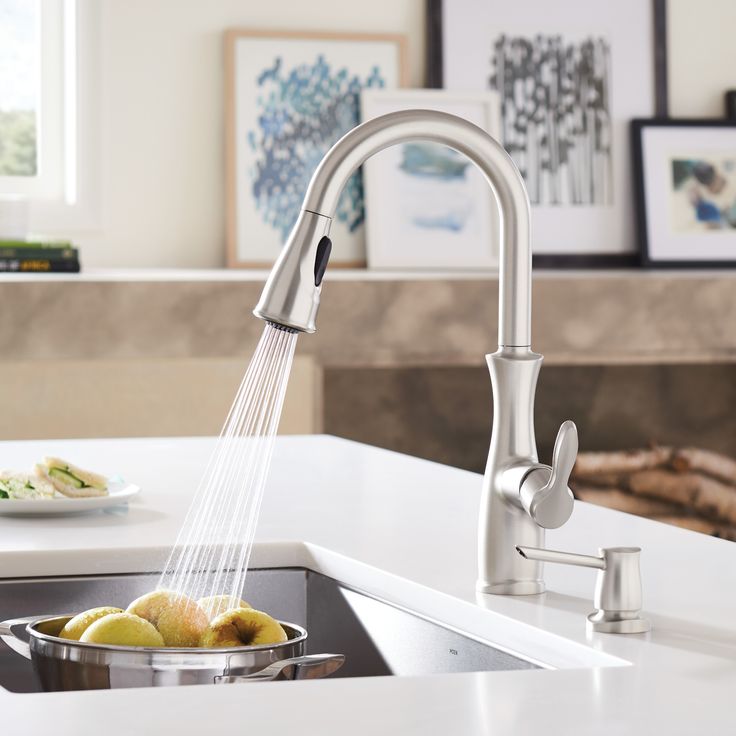Nellis Single-Handle Pull-Down Sprayer Kitchen Faucet with Reflex and Power Clean in Spot Resist Stainless