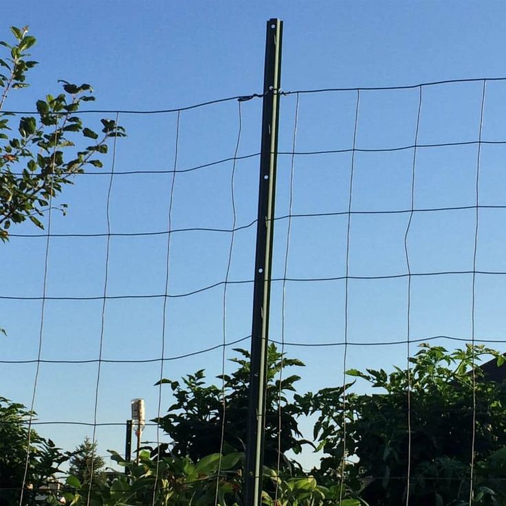 Everbilt 3 in. x 3 in. x 6 ft. Green Steel Fence Heavy Duty U-Post with Anchor Plate