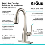 Esina Single-Handle Pull-Down Sprayer Kitchen Faucet with Dual Function Sprayhead in All-Brite Spot Free Stainless Steel - Super Arbor