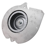 Goodman-Amana B1859005S motor - detail view (Product Type: Motor)