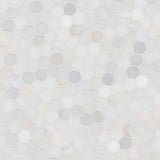 MSI Greecian White Hexagon 12 in. x 11.75 in. x 10mm Polished Marble Mesh-Mounted Mosaic Tile (9.8 sq. ft. / case)