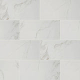 Carrara 24 in. x 24 in. Polished Porcelain Floor and Wall Tile (16 sq. ft. / case) - Super Arbor