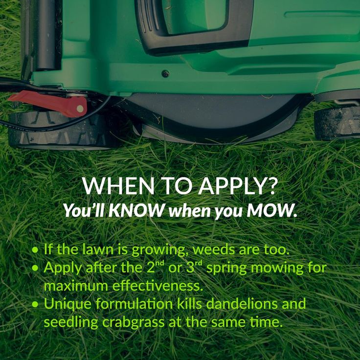 GreenView 36 lb. Fairway Formula Spring Fertilizer Weed and Feed and Crabgrass Preventer