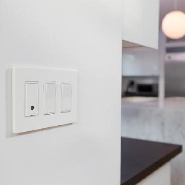 Light Switch (2-Pack) - Super Arbor