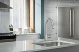 Moen Adler 1-Handle Deck Mount Pull-Down Handle/Lever Commercial/Residential Kitchen Faucet (Deck Plate Included)