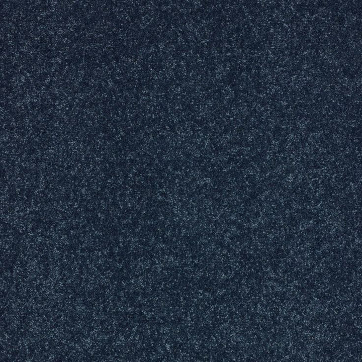 STAINMASTER Essentials Intuition II 12-ft Blue Textured Carpet Sample (Interior)