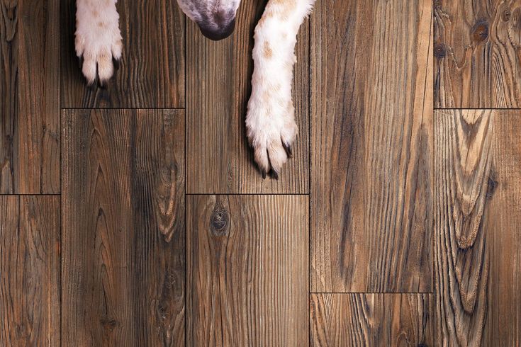 Style Selections Lethbridge Pine 8-in x 48-in Glazed Porcelain Wood Look Floor Tile