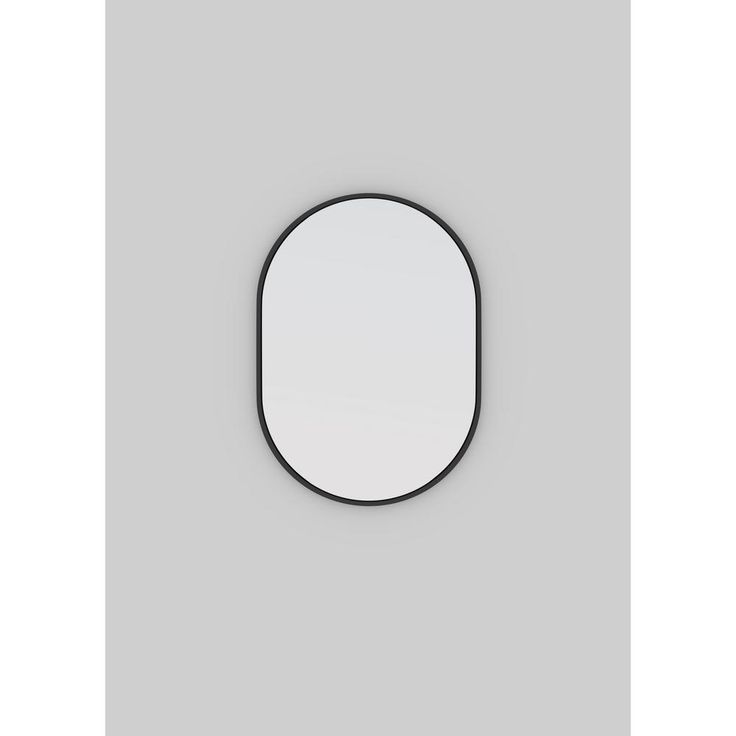 28 in. x 20 in. Pill Shape Black Stainless Steel Framed Mirror